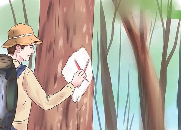 đánh dấu phương hướng khi đi rừng