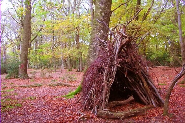 kỹ năng sống trong rừng
