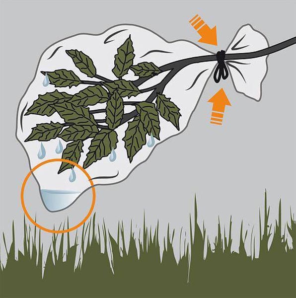 Sử dụng túi nilong ky nang sinh ton trong rung